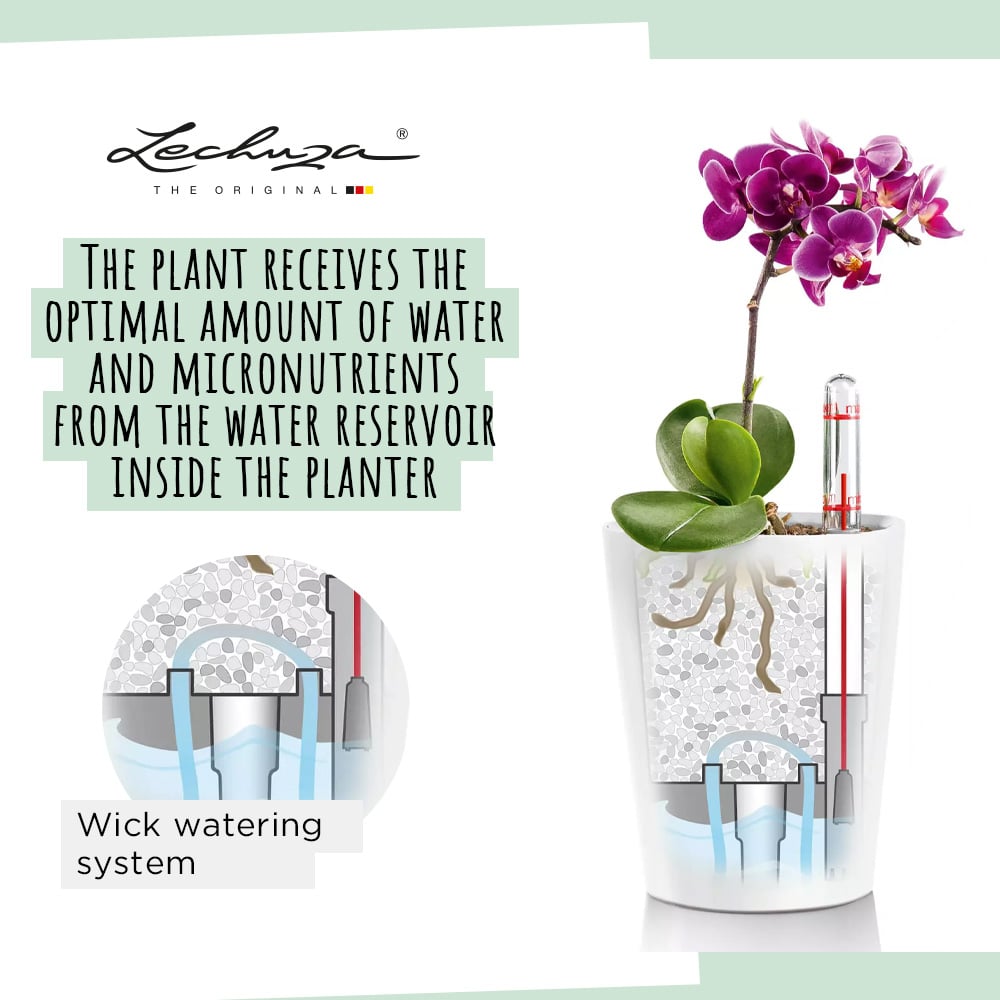 lechuza self watering plant pots Lechuza Deltini Self Watering Tabletop Planter