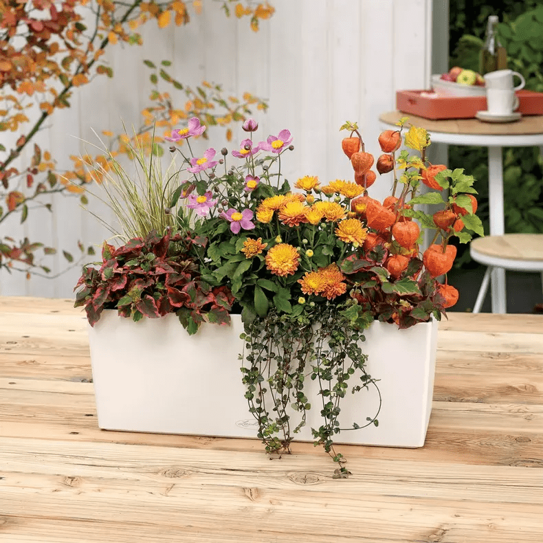 balconera self watering planter Balconera Color 50' Self-Watering Planter // White