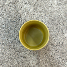 Load image into Gallery viewer, Kendall Pot 2.5&quot; - Mustard Yellow