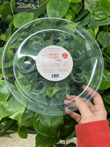 Carpet Saver Saucer Clear 10"