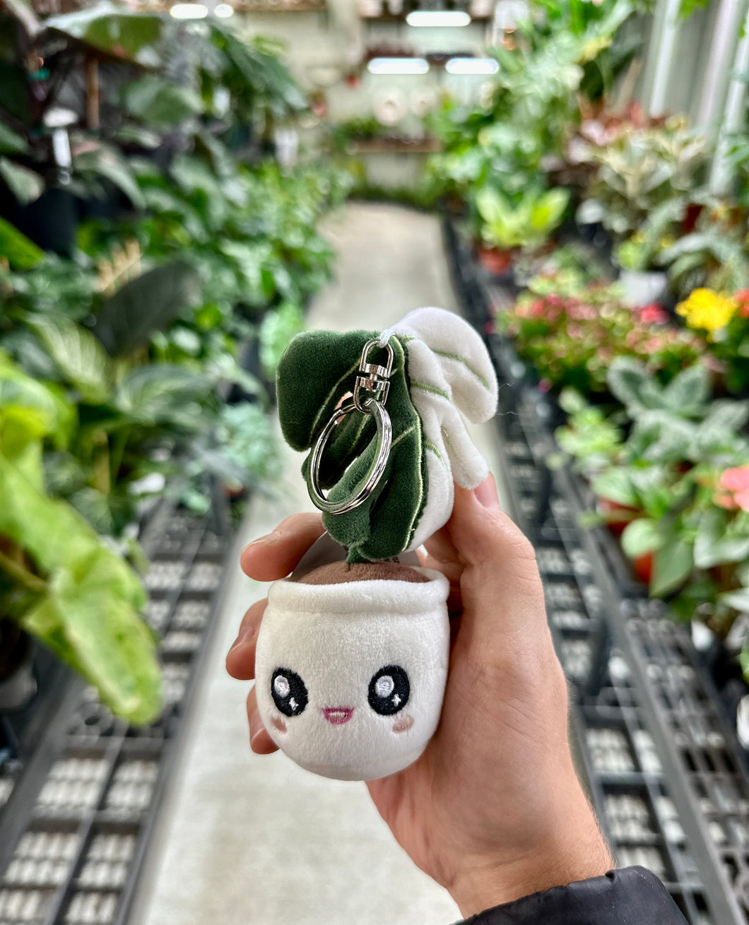 cute monstera Monstera Deliciosa Albo Variegata Plush Keychain – Kent East Hill Nursery