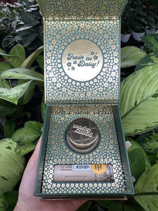 Lip Care Duo- Island Coconut