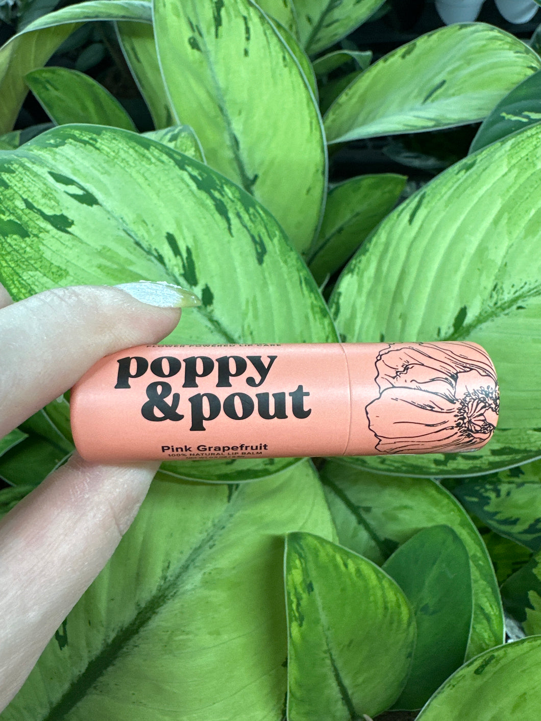 Lip Balm- Pink Grapefruit