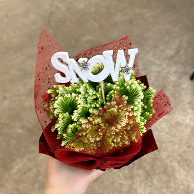 Christmas Fern 4