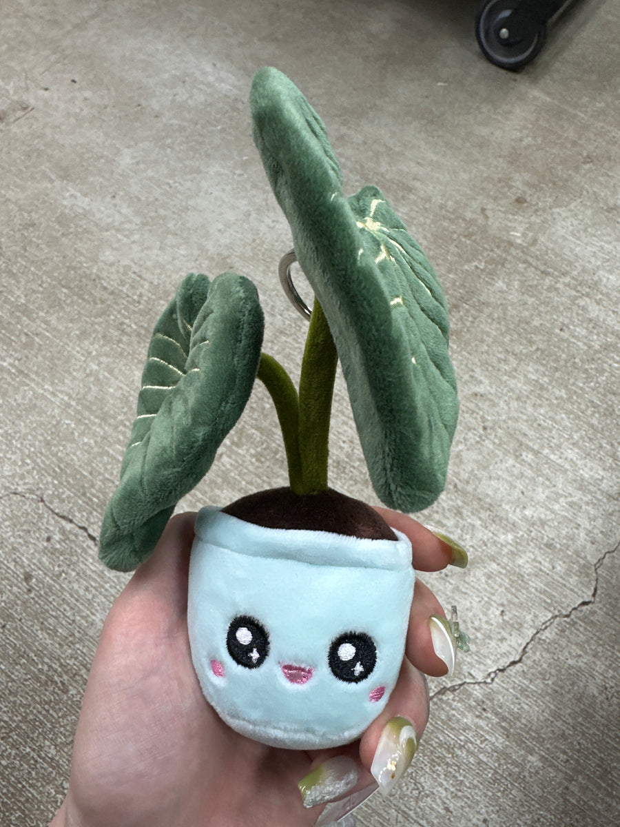 Philodendron Gloriosum Keychain Plush – Kent East Hill Nursery