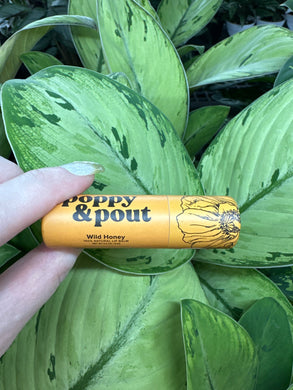 Lip Balm- Wild Honey