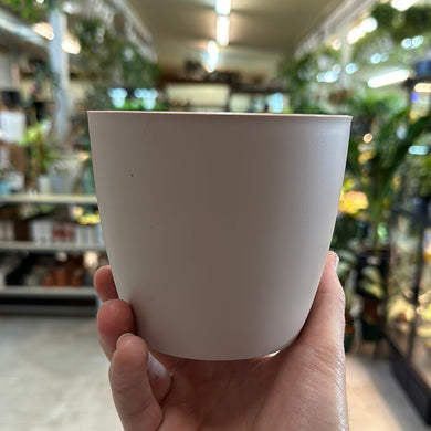 Viola Plastic Planter 4.3