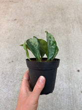 Load image into Gallery viewer, Hoya AH074 4&quot;