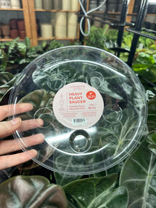 Carpet Saver Saucer Clear 8"