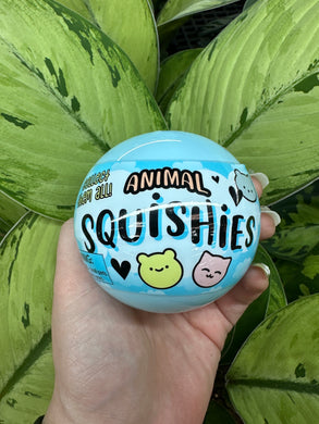 Animal Squishies