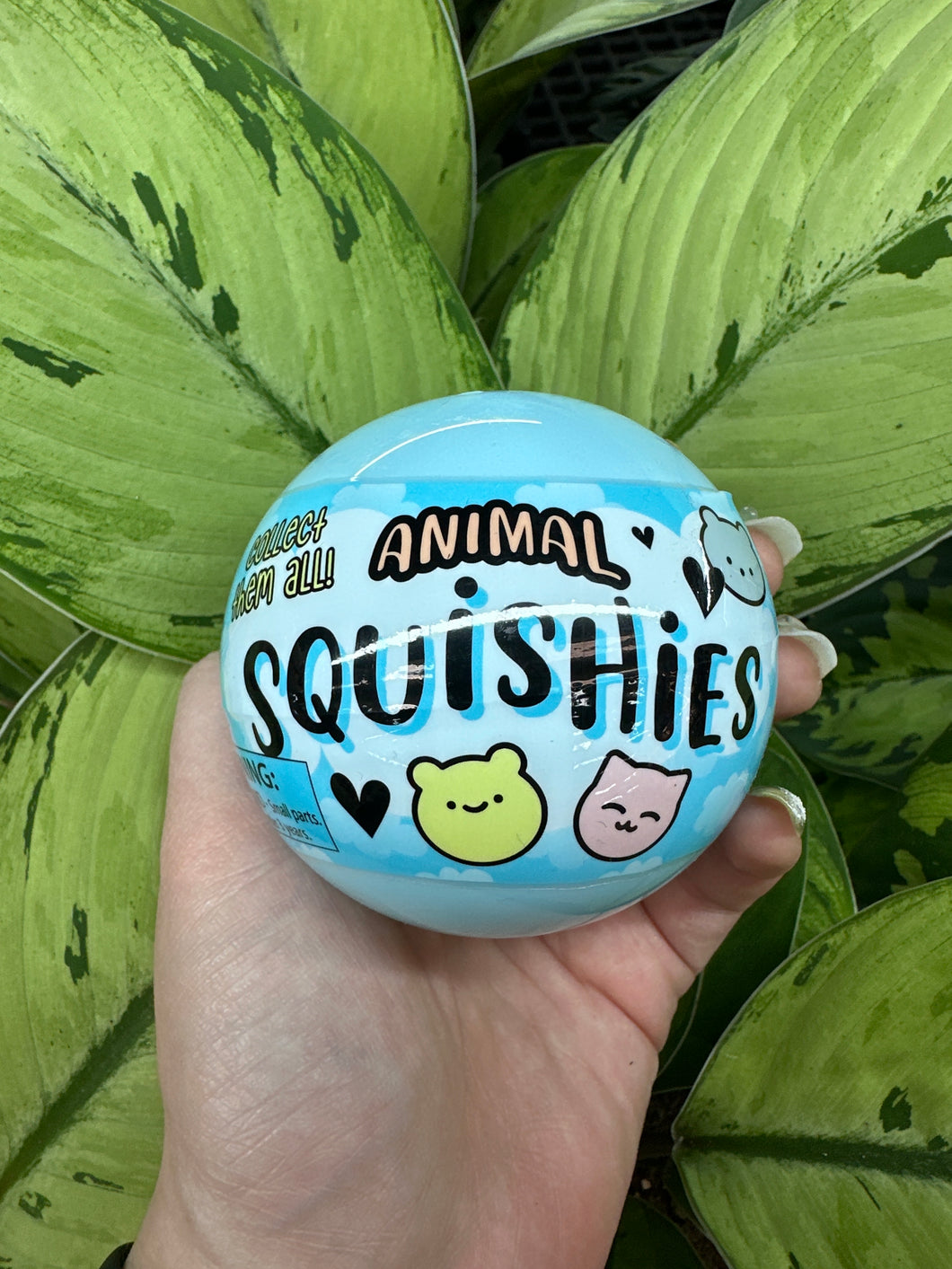 Animal Squishies