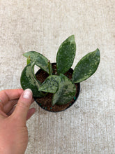 Load image into Gallery viewer, Hoya AH074 4&quot;