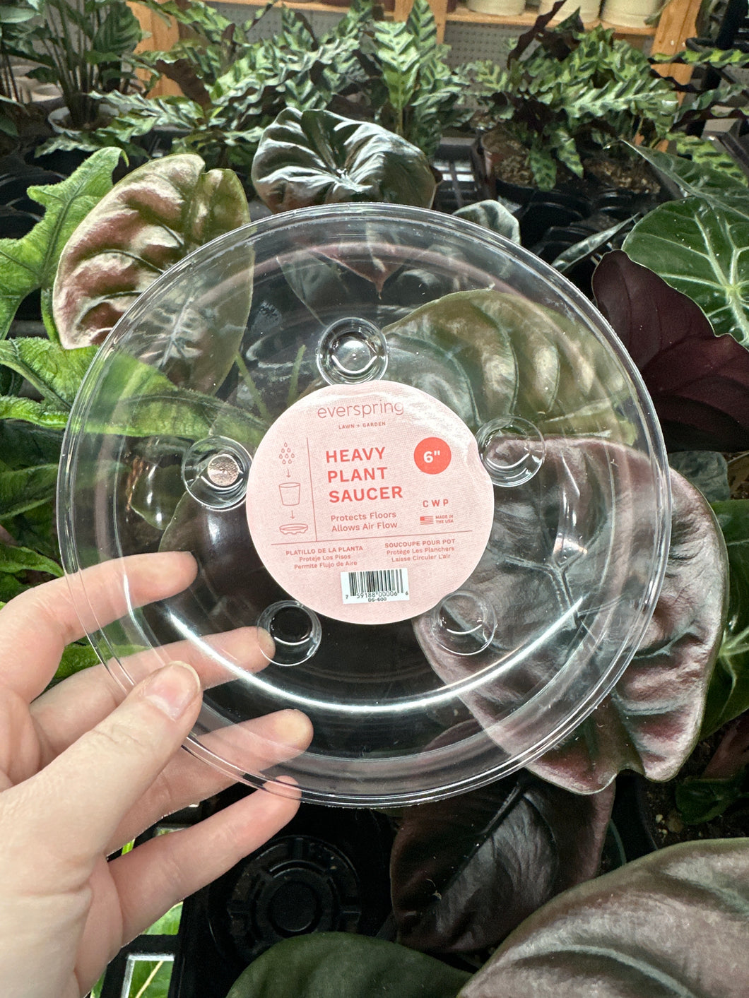 Carpet Saver Saucer Clear 6