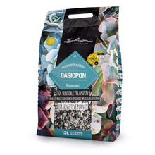 Load image into Gallery viewer, Lechuza Basicpon 12L