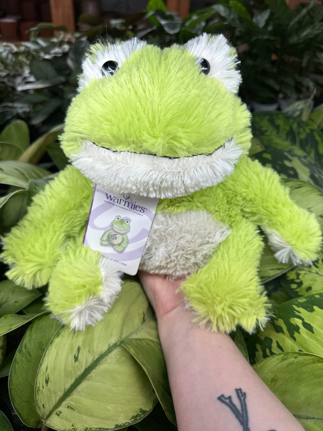 Warmies- Frog