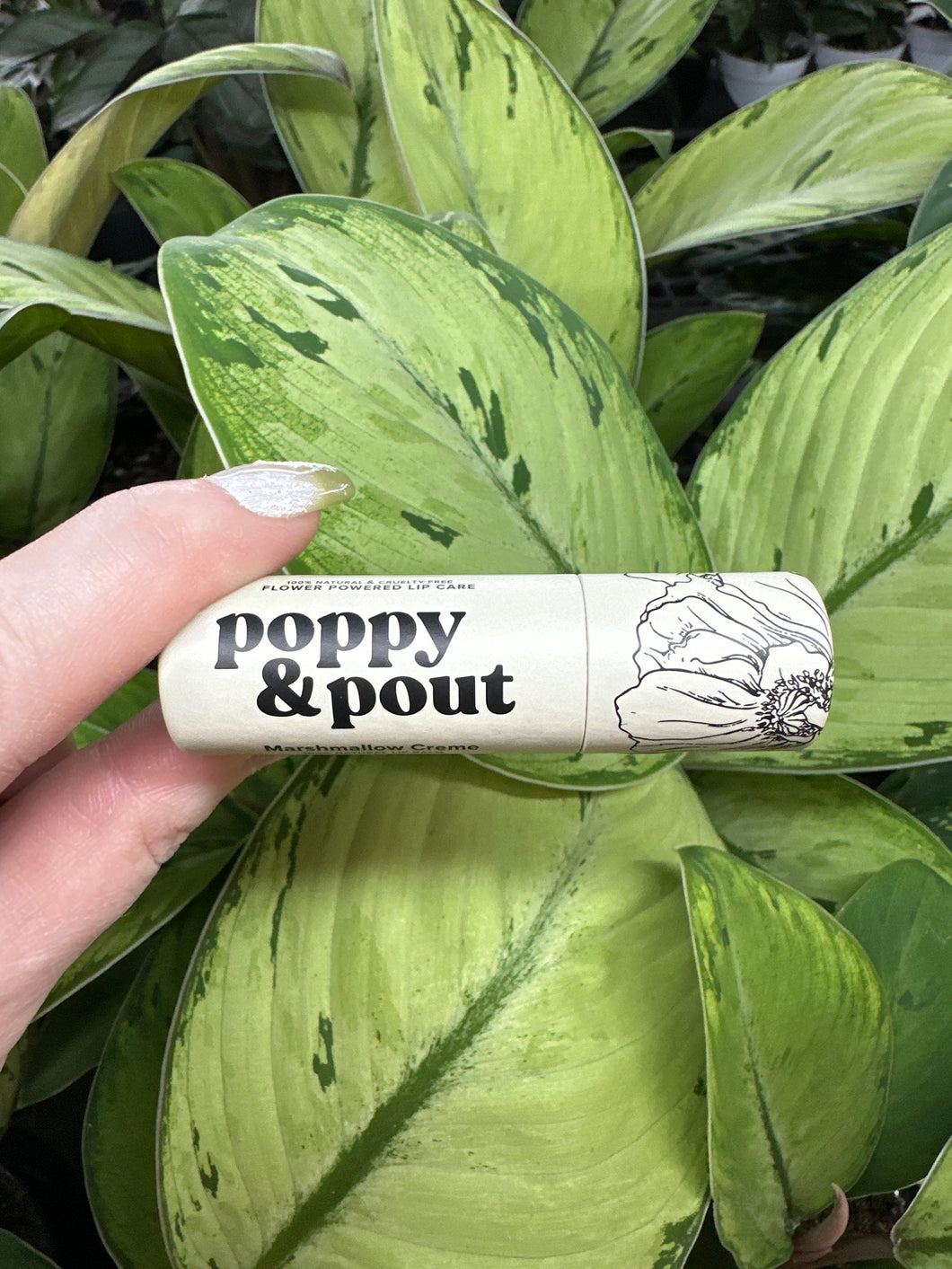 Lip Balm- Marshmellow Creme