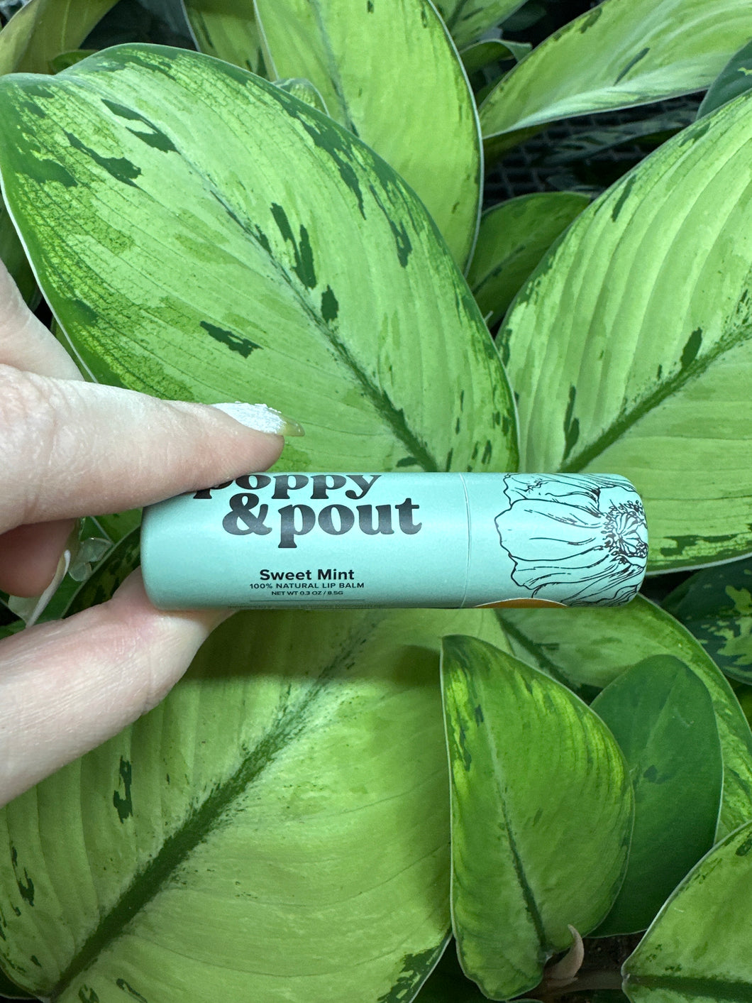 Lip Balm- Sweet Mint