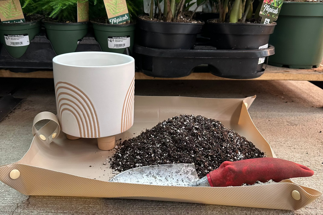 Houseplant Repotting Service