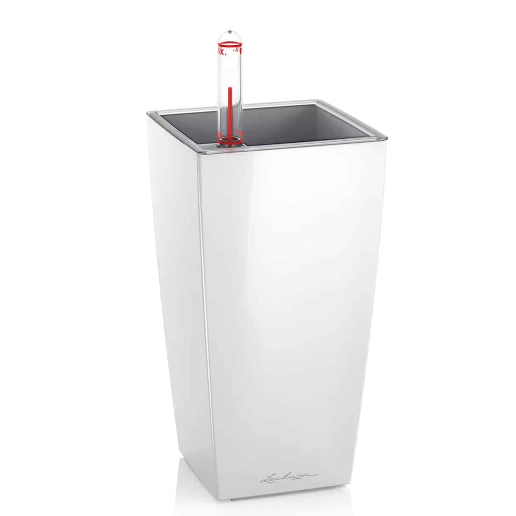 mini cube self-watering herb planter Mini-Cubi' Self-Watering Planter // White High-Gloss – Kent East Hill  Nursery