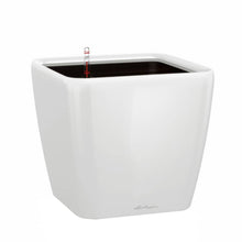 Load image into Gallery viewer, Quadro Self-Watering Planter 21 - Glossy White