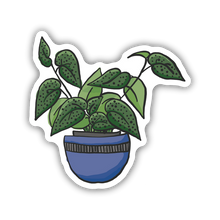 Load image into Gallery viewer, Angel Wing Begonia Sticker