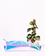 Load image into Gallery viewer, Holographic Potting Tarp 25&quot; x 30&quot;