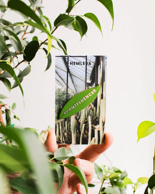 Plantfluencer Pin | HEMLEVA