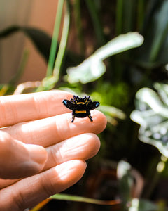 Busy Bee Pin | HEMLEVA