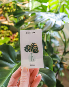 Monstera deliciosa Pin | HEMLEVA