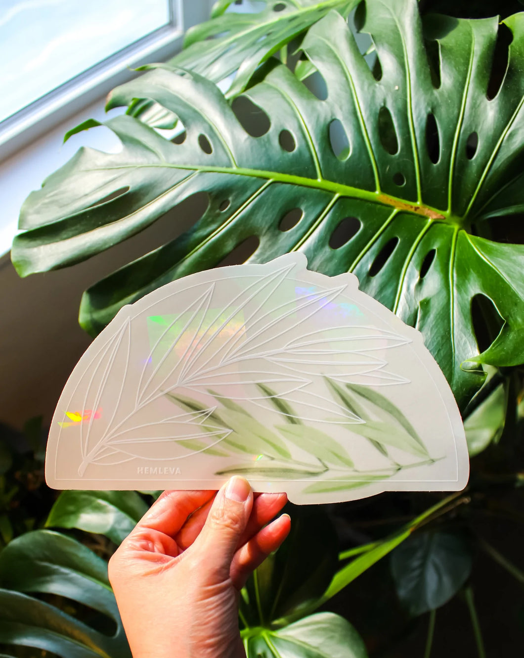 Olive Branch Suncatcher | HEMLEVA