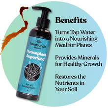 Load image into Gallery viewer, Houseplant Superfood 8oz