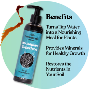 Houseplant Superfood 8oz
