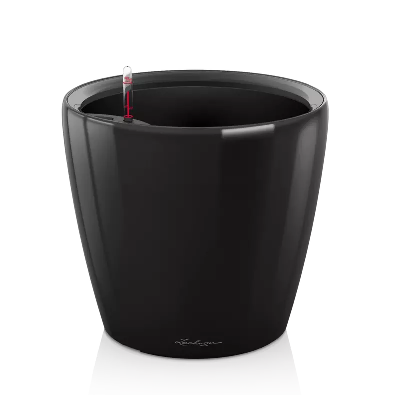 black self watering planter Classico 21' Self-Watering Planter // Black High-Gloss – Kent East Hill Nursery