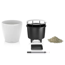 Load image into Gallery viewer, Classico 21 Self-Watering Planter // White High-Gloss
