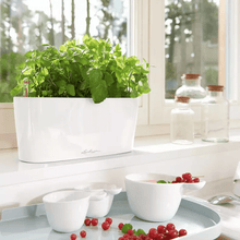 Load image into Gallery viewer, Delta 10 Self-Watering Planter // Charcoal Metallic