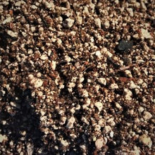 Load image into Gallery viewer, Desert Succulent Blend Qt