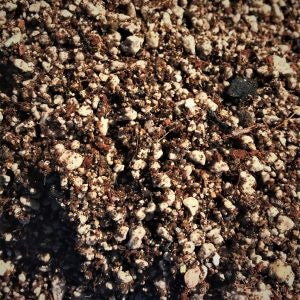 Desert Succulent Blend Qt