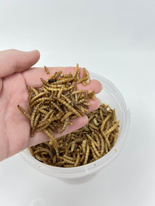 Unipet Mealworm To Go Tub 5.5 oz