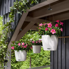 Load image into Gallery viewer, Nido Cottage&#39; Hanging Basket Self-Watering Planter // White