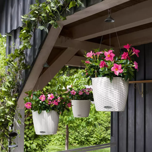 Nido Cottage' Hanging Basket Self-Watering Planter // White